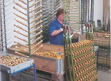 Workpieces being attached to jigs for conventional rack plating